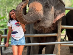 Elephant Sanctuary
