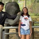 Elephant sanctuary